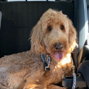 Meet your Posher, Tanya